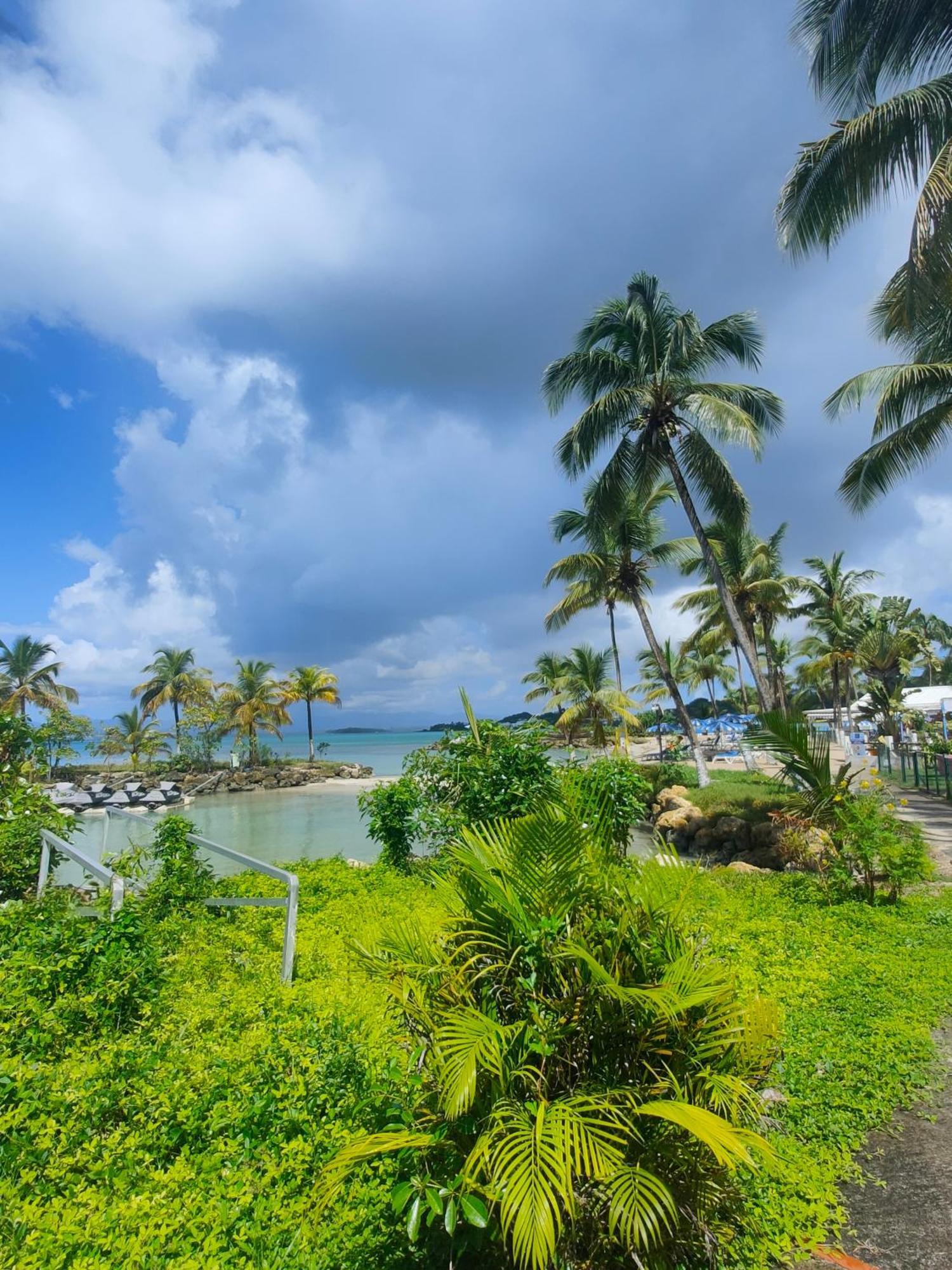Studio Vue Mer, Pieds Dans L'Eau Le Gosier  Extérieur photo